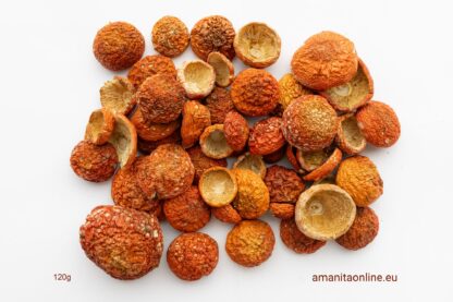 amanitaonline.eu amanita muscaria 120g dried caps
