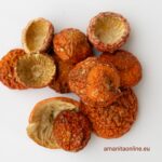 amanitaonline.eu amanita muscaria 30g dried caps