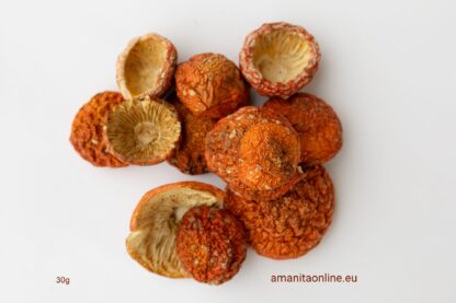 amanitaonline.eu amanita muscaria 30g dried caps