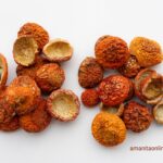 amanitaonline.eu amanita muscaria 60g dried caps
