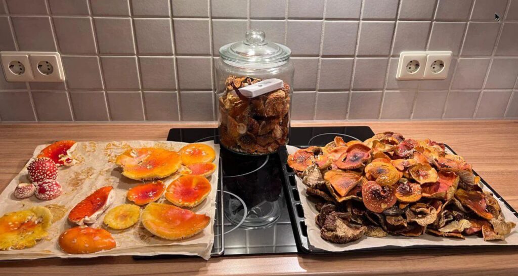 How can I prepare these mushrooms?